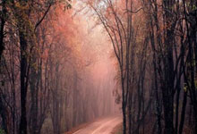 米兰体育地址-立陶宛男足在欧洲预选赛中迎来历史性胜利,燃起足球新希望