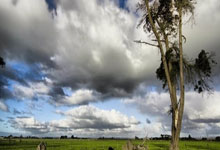 塞维利亚客场逼平巴拉多利德：铁血防守与反击之夜