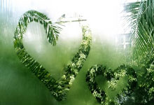 欧洲杯预选赛的看点：球员实力的较量