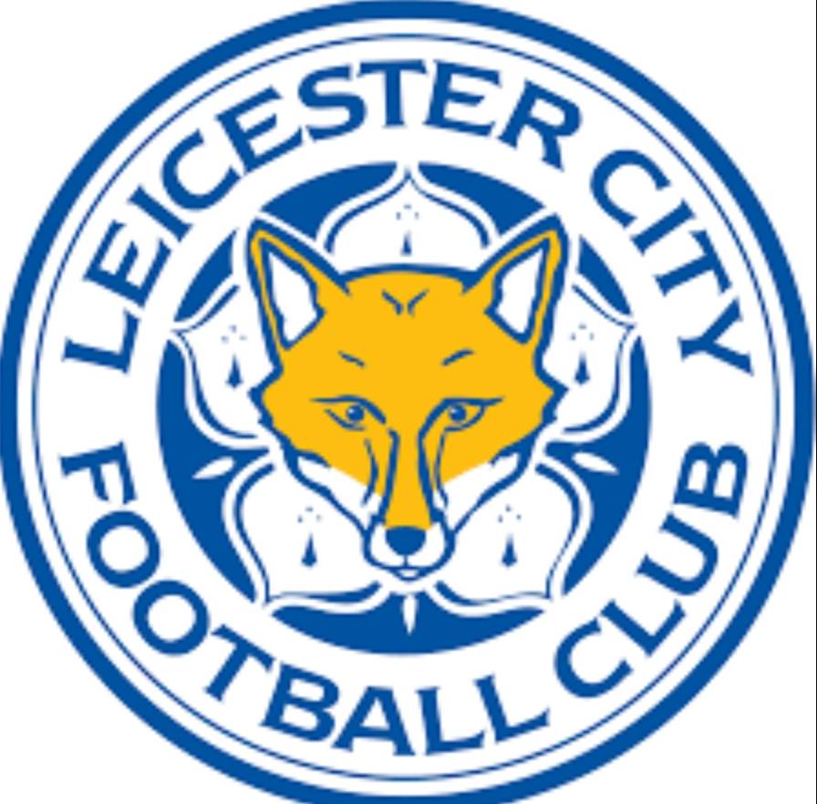 莱斯特城逆袭,重返英超前六 莱斯特城逆袭,重返英超前六