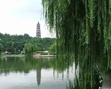 米兰体育平台-池州远征告捷，迎来客场胜利